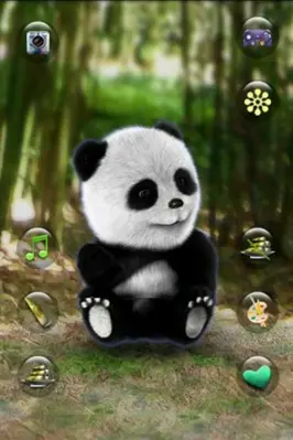 Talking Panda android App screenshot 1